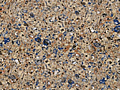 Quartz Silestone Azul Ugarit