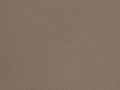 Quartz Silestone Noka