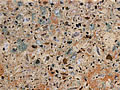 Quartz Silestone Verde Ugarit