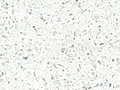 Quartz Unistone Bianco Galactica